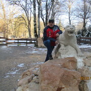  ,   , 51 ,   ,   , c 
