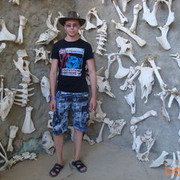 ���������� ��������, ���� ������� Silver, 51 ���, ������������ ��� ������, ����� � ���������, c�������� ���������