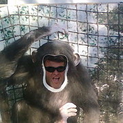 ���������� ���������, ���� ������� ��������, 62 ����, ������������ ��� ������