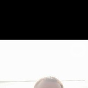 ���������� �����������, ���� ������� ������, 40 ���, ������������ ��� ������, ����� � ���������, c�������� ���������