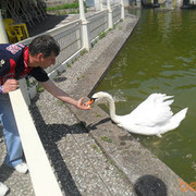 ���������� ��������, ���� ������� Vovan30, 44 ����, ������������ ��� ������