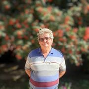 ���������� ��������, ���� ������� Vik, 60 ���, ������������ ��� ������, ����� � ���������