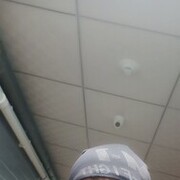  ,   , 40 ,   ,   , c , 