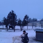 ���������� �����, ���� ������� SIAVA, 45 ���, ������������ 