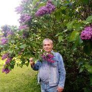 ���������� ������, ���� ������� ���, 61 ���, ������������ ��� ������, ����� � ���������