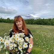 ���������� ���������, ���� ������� ������, 66 ���, ������������ ��� ����� � ���������, c�������� ���������, ���������