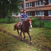 ���������� ������, ���� ������� �����, 38 ���, ������������ ��� ������, ����� � ���������, c�������� ���������