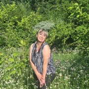 ��������� 2024���