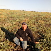 ���������� ��������, ���� ������� �����, 41 ���, ������������ ��� ������, ����� � ���������, c�������� ���������