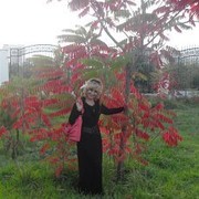  ,   , 62 ,  
