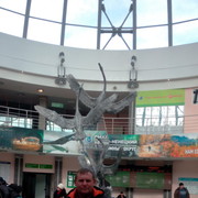  -,   , 52 ,     , c 