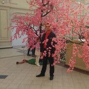 ���������� ������, ���� ������� �����, 40 ���, ������������ ��� ������, ����� � ���������