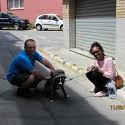  -,   Andre, 48 ,   ,   , c 