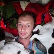 ���������� �����, ���� ������� �����, 37 ���, ������������ ��� ������, ����� � ���������