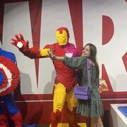 ���������� �����-���������, ���� ������� ���������, 27 ���, ������������ ��� ������, ����� � ���������