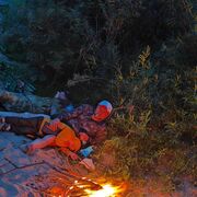 ���������� �����������, ���� ������� ����, 38 ���, ������������ ��� c�������� ���������