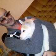  ,   , 44 ,   