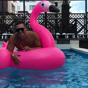 ���������� �����-���������, ���� ������� �������, 33 ����, ������������ ��� ������, ����� � ���������