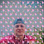  Praha,   Vova, 46 ,   ,   , c 