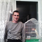 ���������� ����-��������, ������� ������, 38