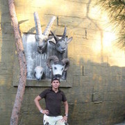 ���������� ������, ���� ������� Denis, 46 ���, ������������ ��� ������, ����� � ���������, c�������� ���������