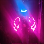 ���������� ���������, ���� ������� Zaki, 40 ���, ������������ 