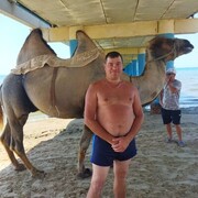 ���������� �����, ���� ������� ������, 47 ���, ������������ ��� c�������� ���������, ���������