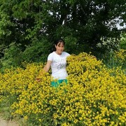 ���������� ���������, ���� ������� ���, 38 ���, ������������ ��� ����� � ���������, ���������