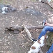  ,   , 49 ,   ,   , c 