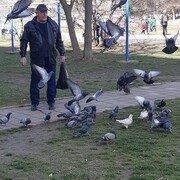  ,   Vlad, 69 ,   ,   , c 