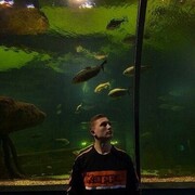 ���������� ���������� �����, ������ �������, 25