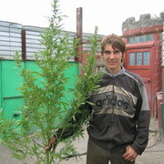  ,   Artem, 35 ,   