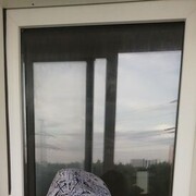 ���������� ������, ���� ������� �������, 38 ���, ������������ ��� ����� � ���������, c�������� ���������