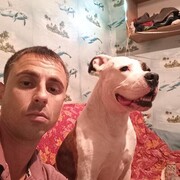 ���������� ����������, ������� �����, 41