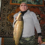  ,   Graf, 76 ,   ,   , c 