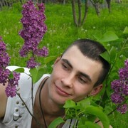 ���������� ��������, ���� ������� ����, 36 ���, ������������ ��� ������, ����� � ���������, c�������� ���������