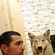 ���������� ������ �����, ���� ������� �����, 44 ����, ������������ ��� ������, ����� � ���������, c�������� ���������