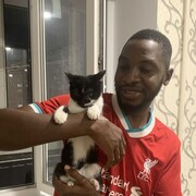 ���������� �������, ���� ������� ����� ������, 39 ���, ������������ ��� ������, ����� � ���������, c�������� ���������