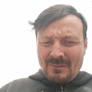  -,   , 43 ,   ,   