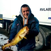  ,   , 59 ,  