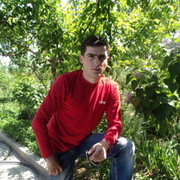  ,   Bacho, 40 ,   ,   , c 