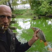 ���������� �����������, ���� ������� ����, 45 ���, ������������ ��� ������