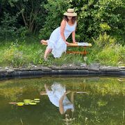 ���������� ������, ���� ������� �������, 56 ���, ������������ ��� ����� � ���������