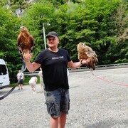 ���������� ������, ���� ������� ����, 36 ���, ������������ ��� ������, ����� � ���������