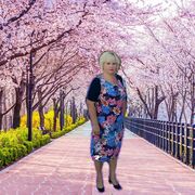   ,   , 62 ,   ,   