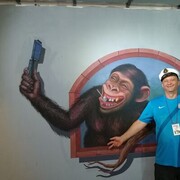 ���������� ������, ���� ������� ������, 56 ���, ������������ ��� ������, ����� � ���������