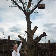 ���������� �����������, ���� ������� �����, 61 ���, ������������ ��� ����� � ���������, c�������� ���������