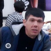  ,   , 41 ,   ,   