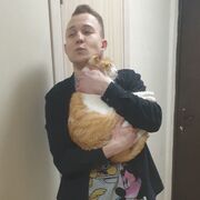  ,   , 33 ,     