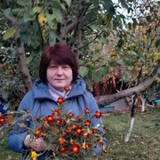 ���������� ��������������, ���� ������� ��������, 48 ���, ������������ ��� c�������� ���������, ���������